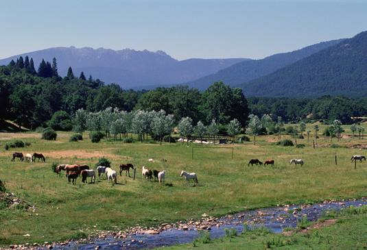 El río Eresma por Valsaín