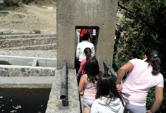 Una visita educativa en el río Eresma.