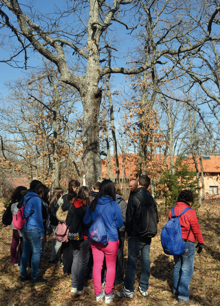 Un grupo de alumnos reciben explicaciones en el robledal