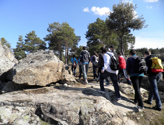 Recorrido por la zona forestal de Valsaín