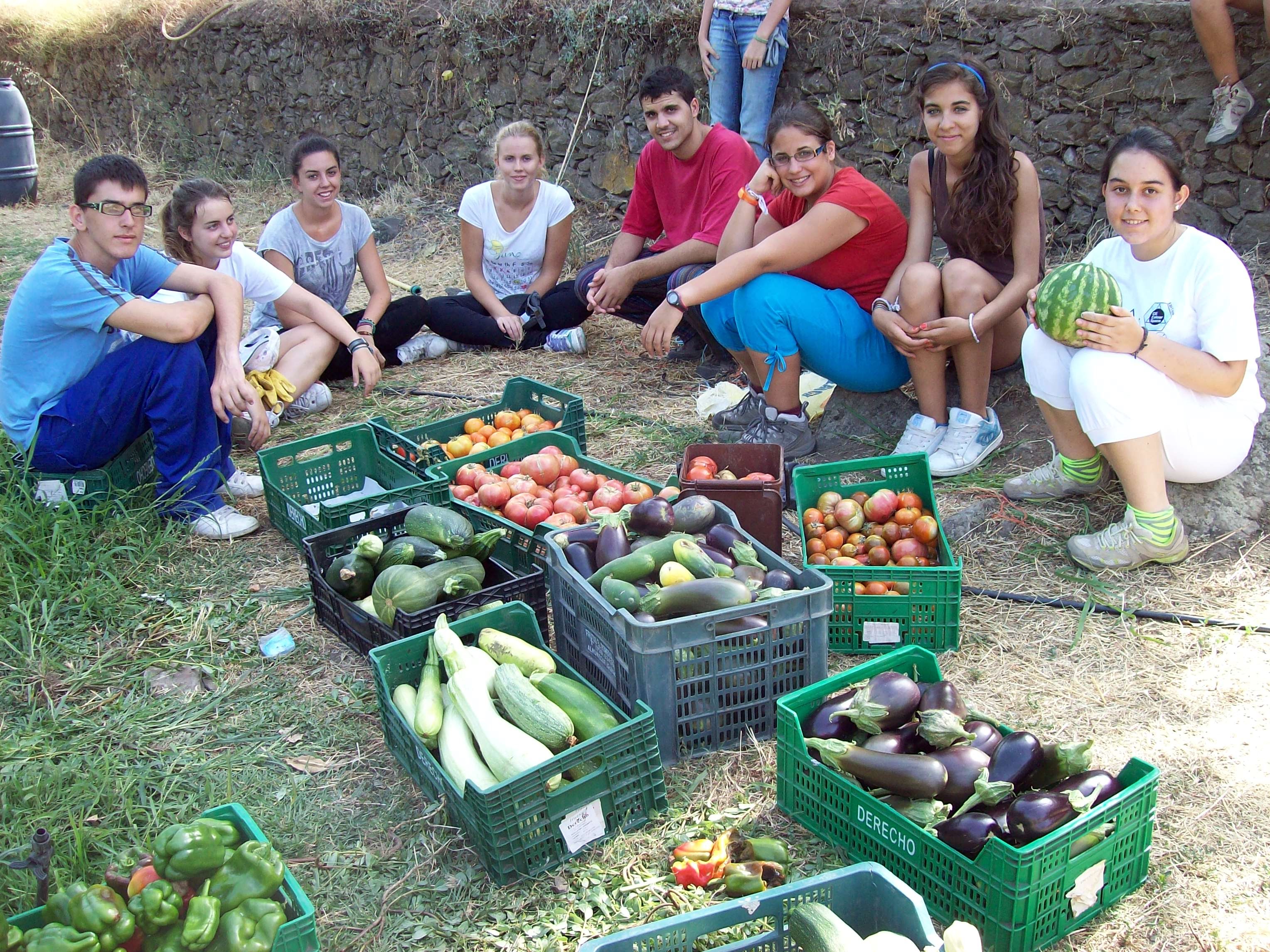 Productos de la huerta en cajas recogidas por los participantes