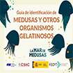 Guía de identificación de medusas y otros organismos gelatinosos