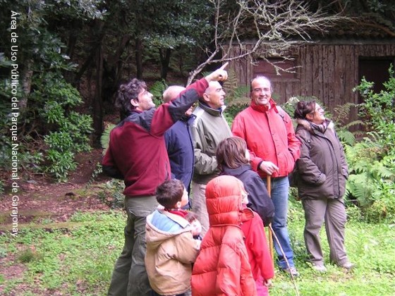 Visita guiada interpretativa en el Parque Nacional de Garajonay.	Área de Uso Público del Parque Nacional de Garajonay