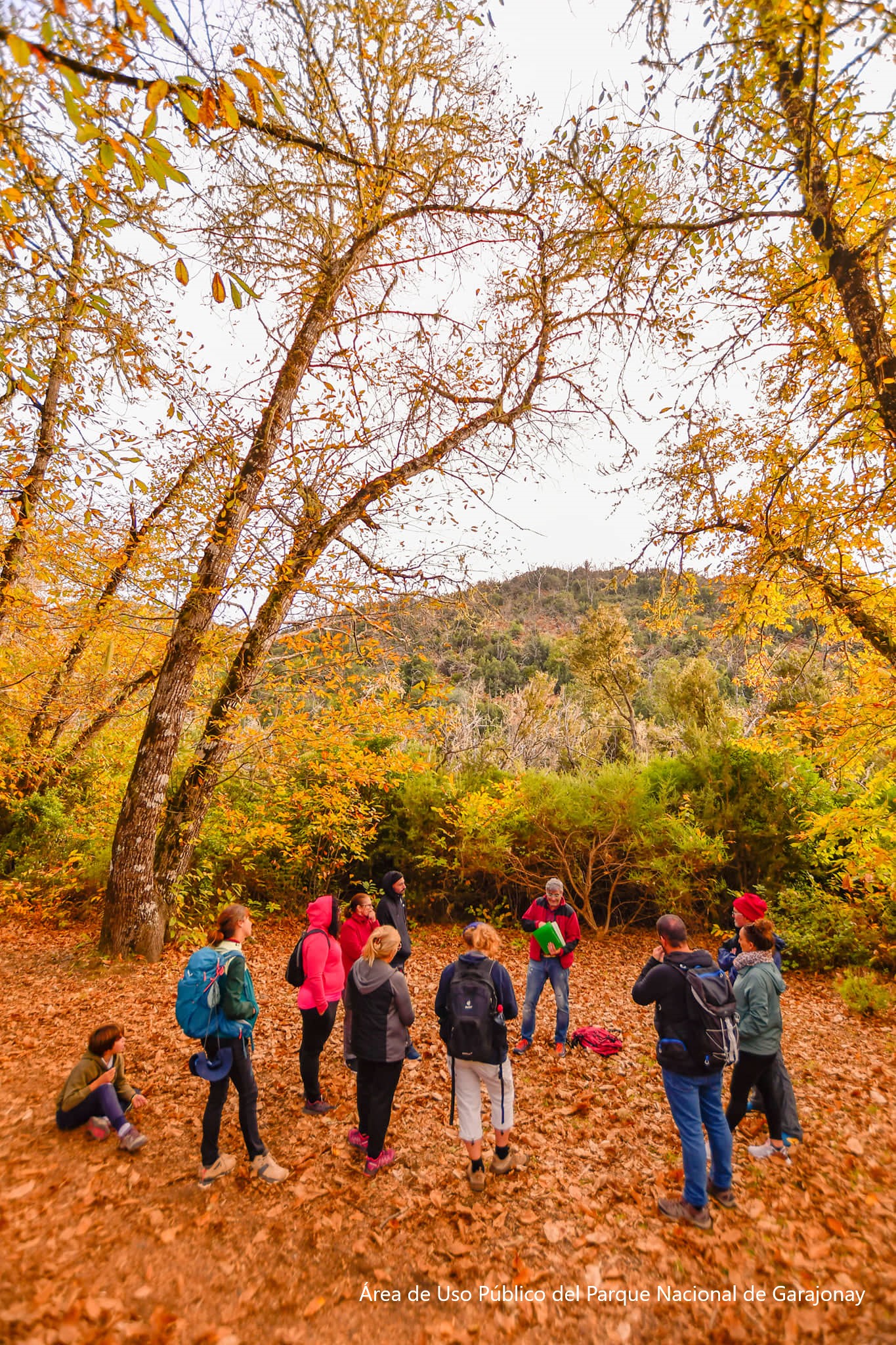 Visita guiada interpretativa en el Parque Nacional de Garajonay.	Área de Uso Público del Parque Nacional de Garajonay