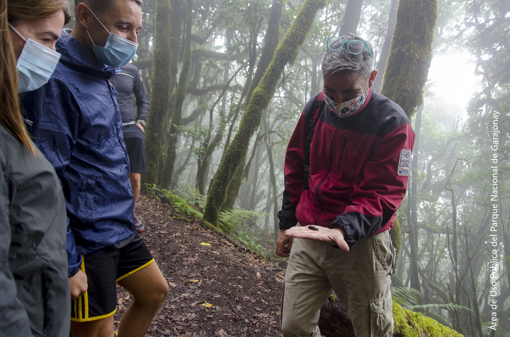 Visita guiada interpretativa en el Parque Nacional de Garajonay.	Área de Uso Público del Parque Nacional de Garajonay