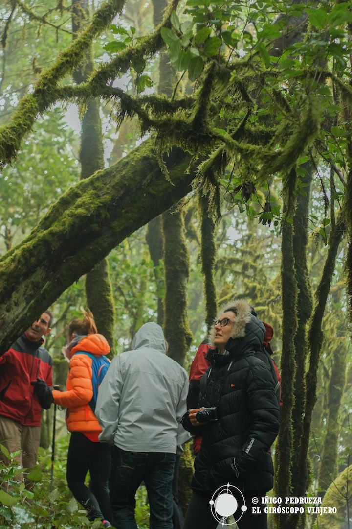 Visita guiada interpretativa en el Parque Nacional de Garajonay.	Área de Uso Público del Parque Nacional de Garajonay