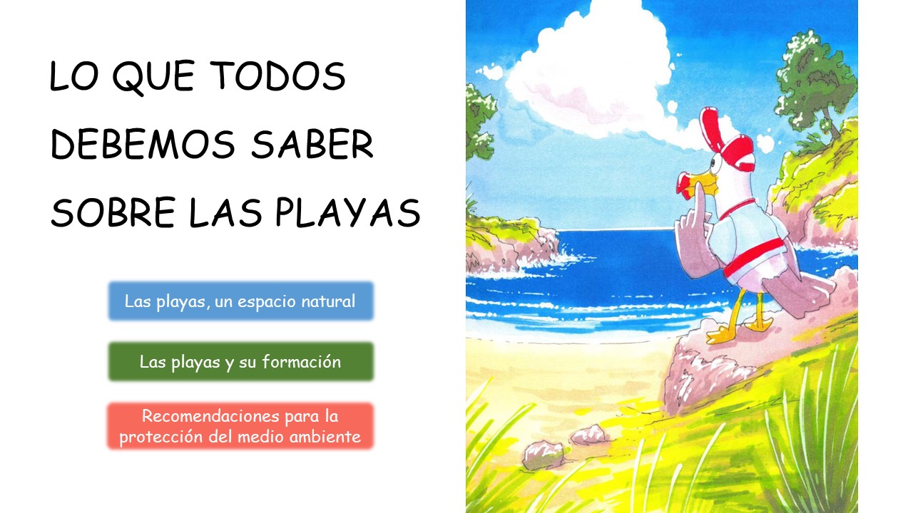 Lo que todos debemos saber sobre las playas