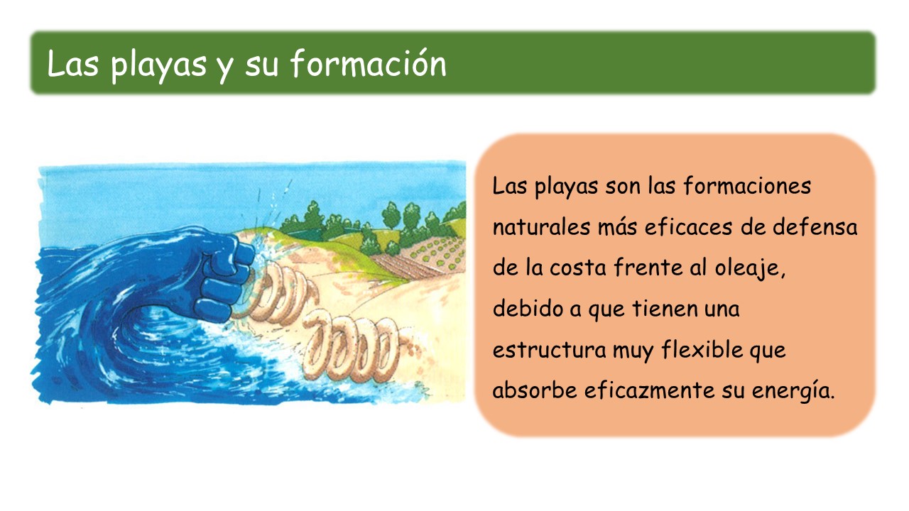 Lo que todos debemos saber sobre las playas