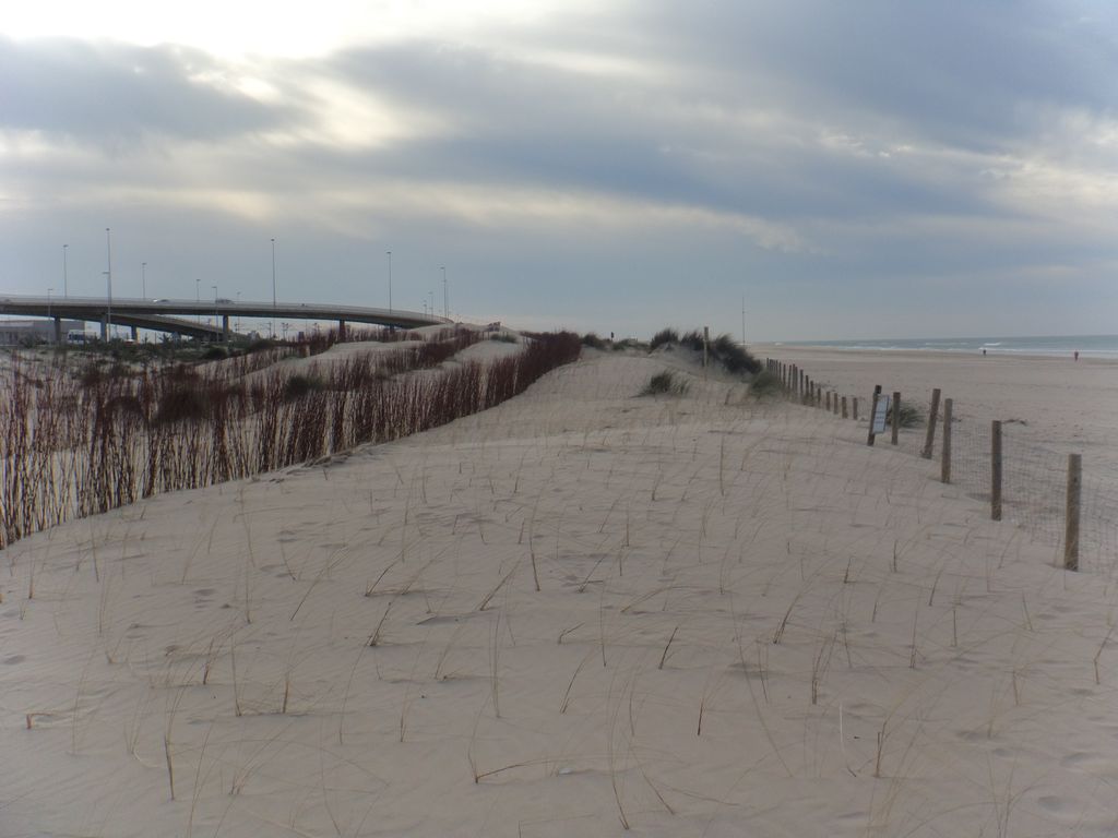 Retirada de tablestacado en la playa de la Cortadura (Después)