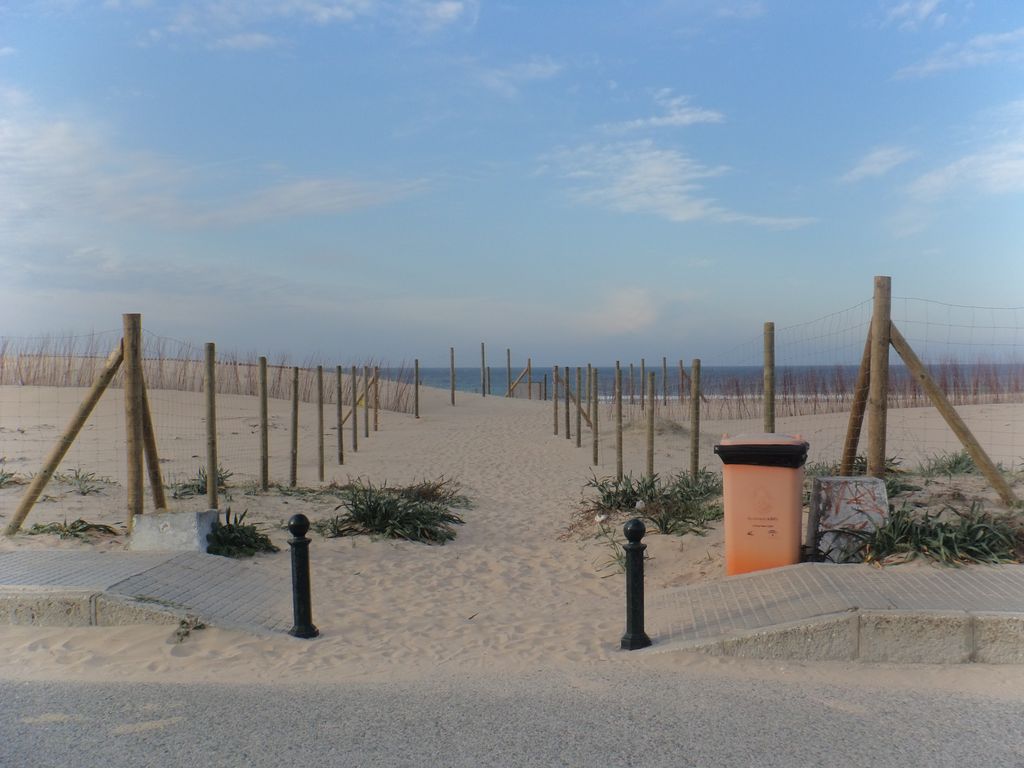 Retirada de tablestacado en la playa de la Cortadura (Después)