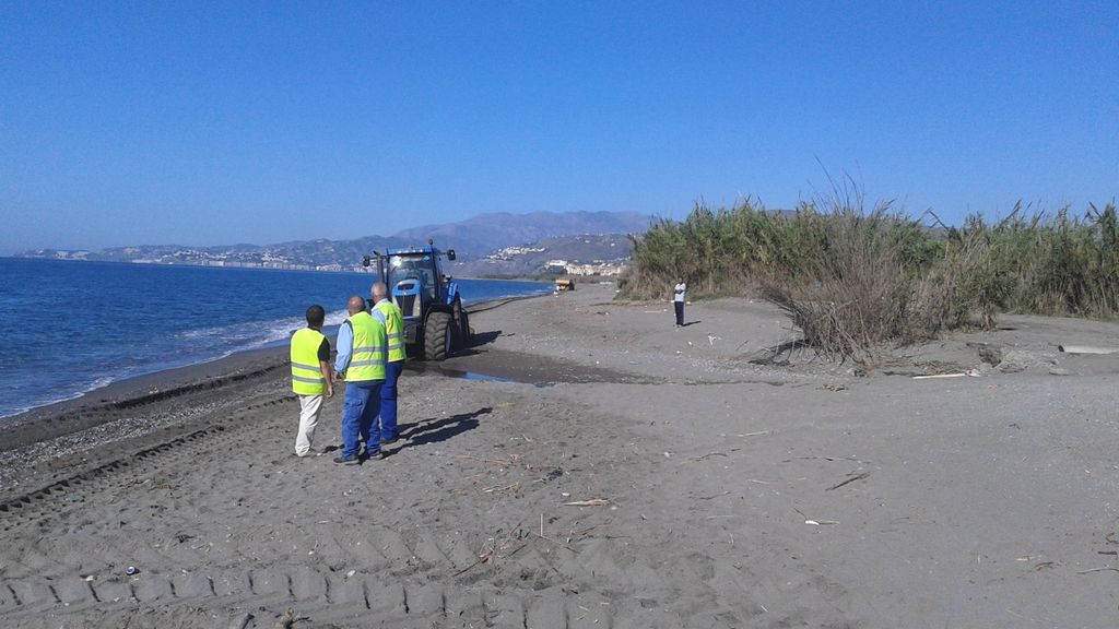 Durante las obras