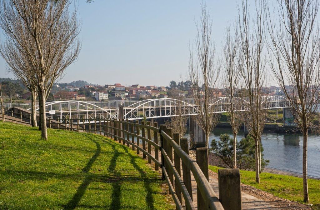 Regeneración ambiental del borde del Rianxo