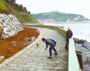 Galería fotográfica del proyecto