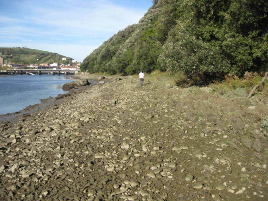 Demolición del embarcadero de Flores (T.M. Zumaia). Antes de las obras