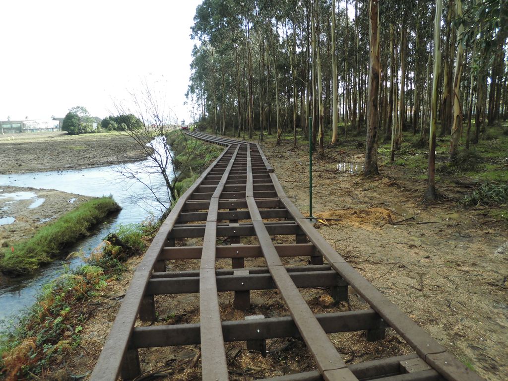 Regeneración ambiental de las marismas de A Xunqueira do Areal, Fase I. Durante