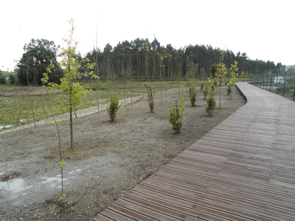 Regeneración ambiental de las marismas de A Xunqueira do Areal, Fase I. Durante