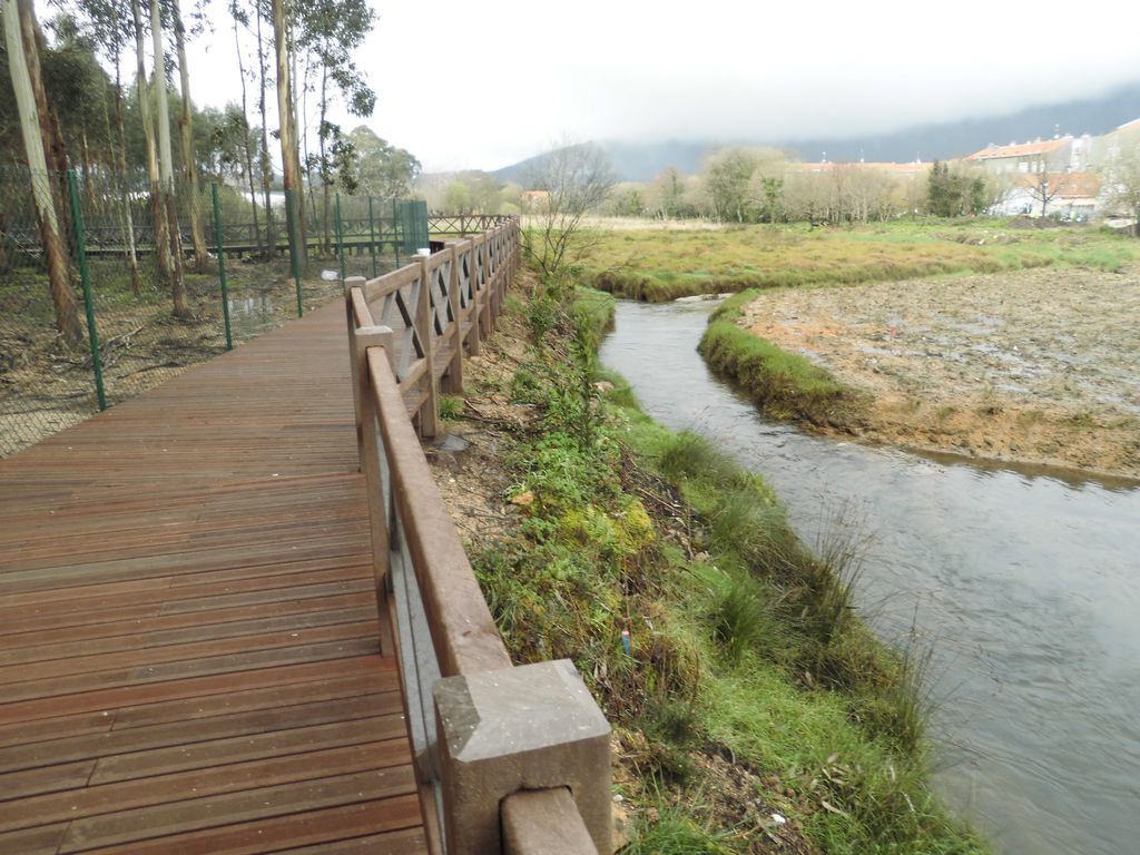 Regeneración ambiental de las marismas de A Xunqueira do Areal, Fase I. Durante