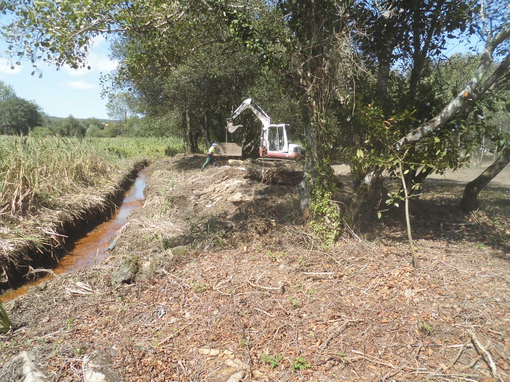 Regeneración ambiental de las marismas de A Xunqueira do Areal, Fase I. Durante