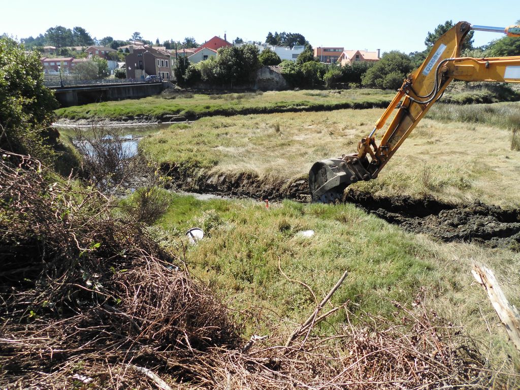 Regeneración ambiental de las marismas de A Xunqueira do Areal, Fase I. Durante