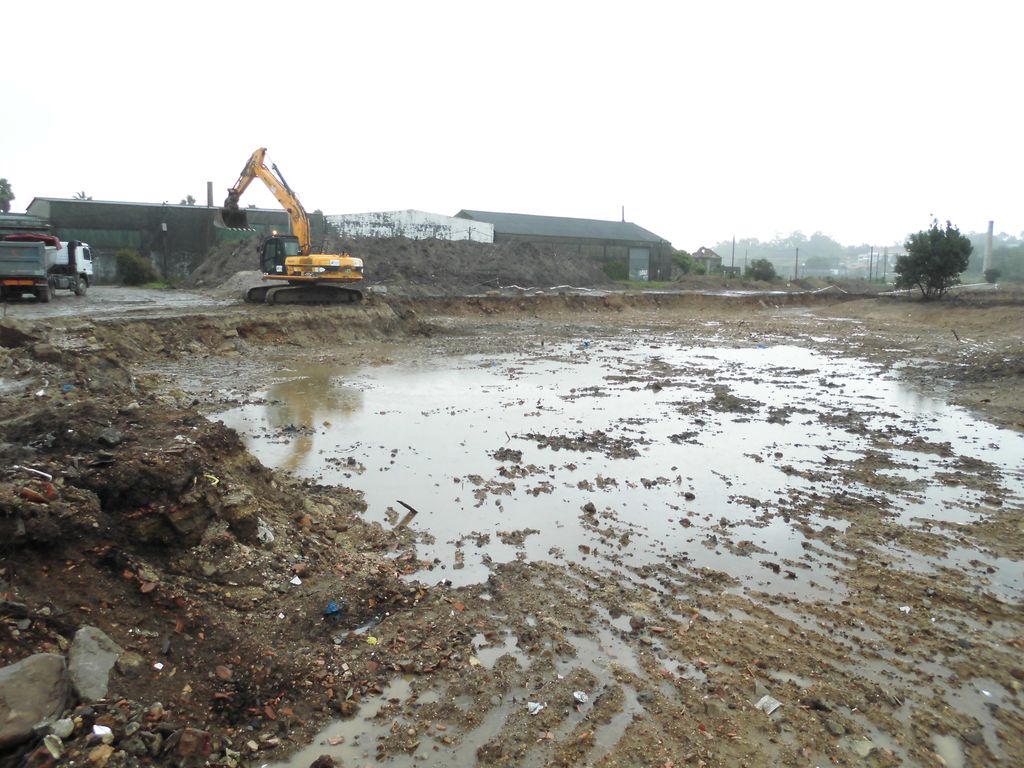 Regeneración ambiental de las marismas de A Xunqueira do Areal, Fase I. Durante