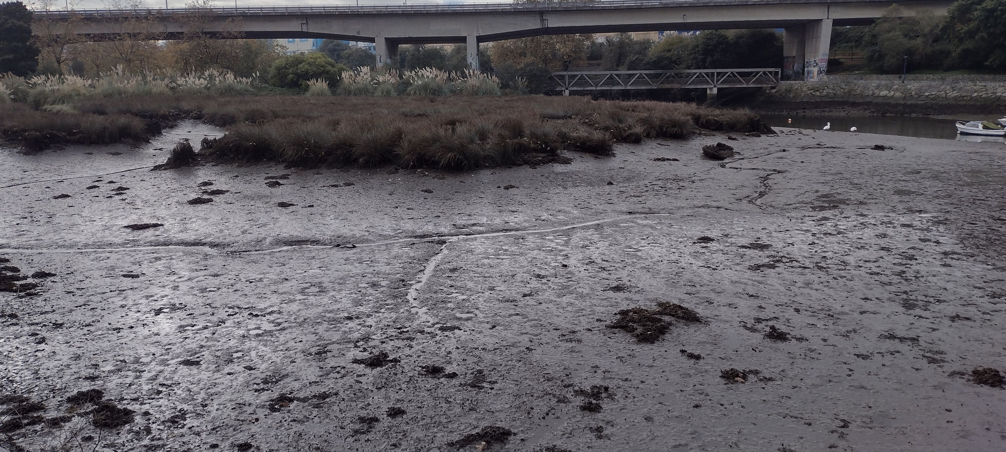 Antes de las obras. Fondo de ría