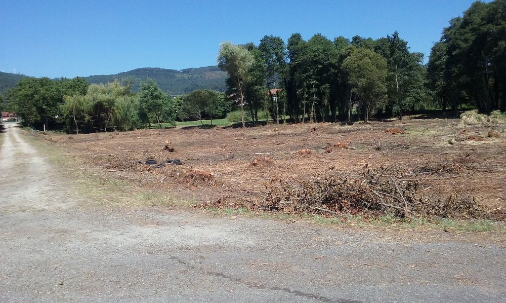 Después de las obras