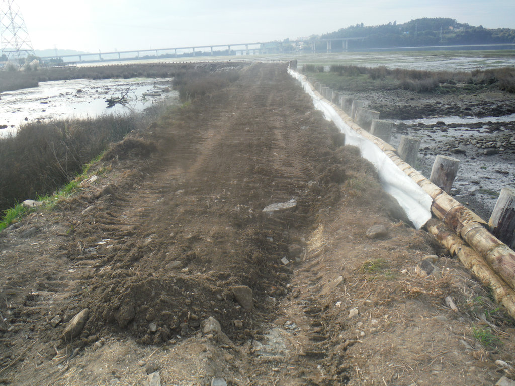 Durante las obras