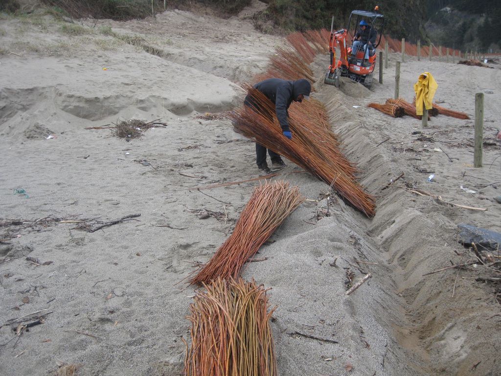 Durante las obras