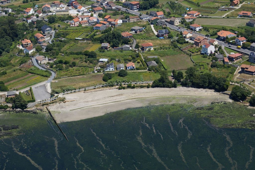 Regeneración ambiental del borde del Rianxo