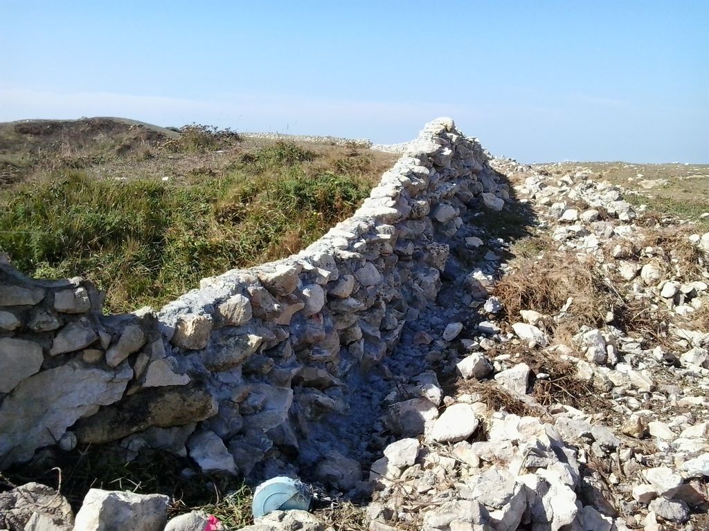 Imágenes del proyecto