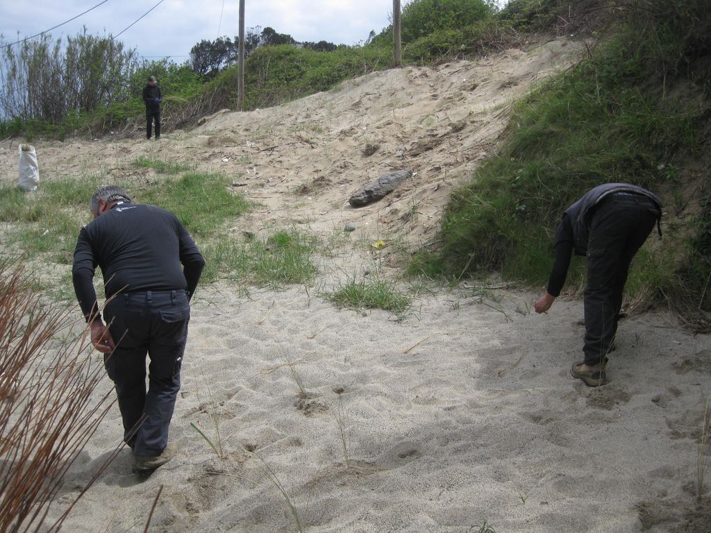 Durante las obras