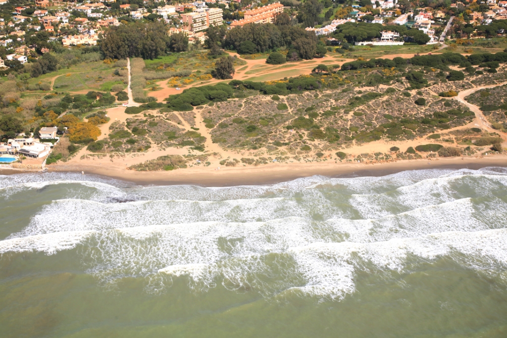 Actuaciones en las dunas de Artola (Antes de las obras)