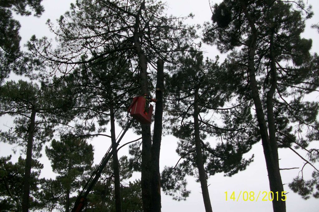 Durante las obras