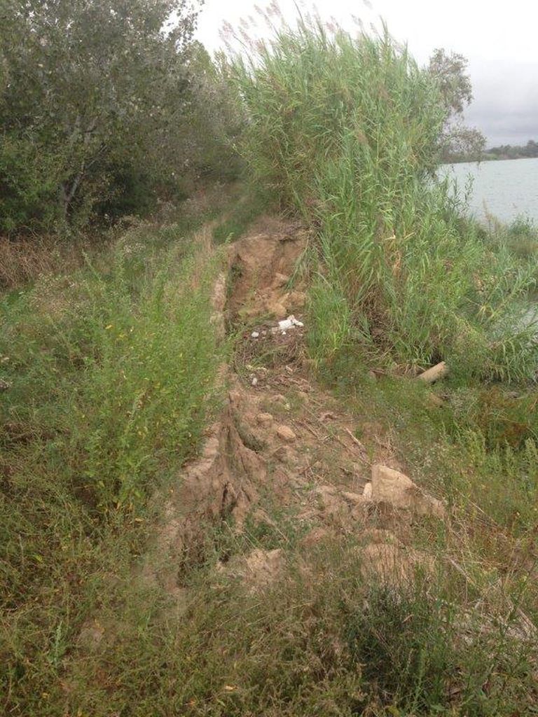 Reposición margen derecha del río Ebro, en Sant Jaume d’Enveja (Antes de las obras)