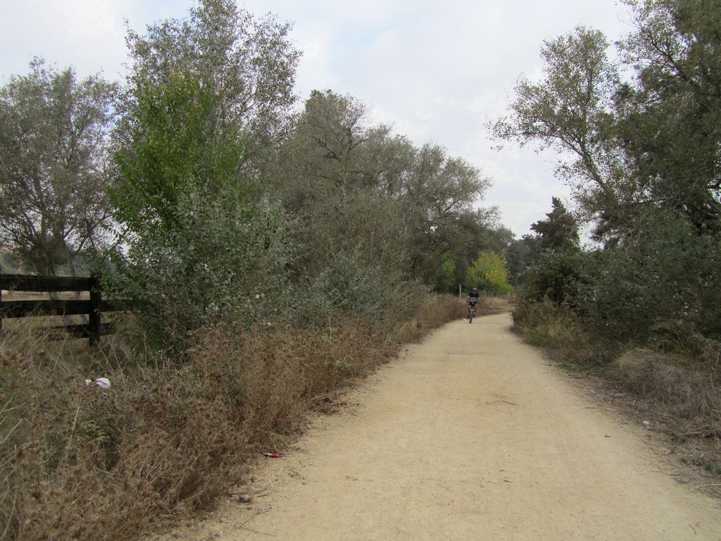 Antes de las obras (Mobiliario urbano y podas en la zona de “El Bajo” (TT.MM. Coria del Río y La Puebla del Río))