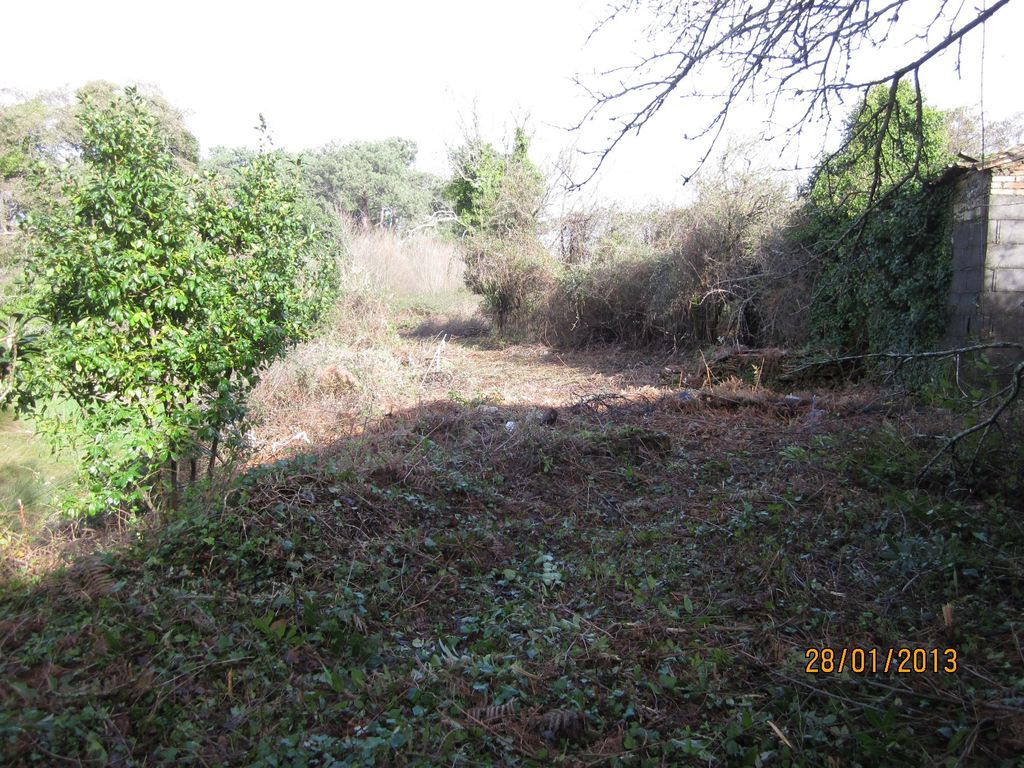 Senda en O Rial (T.M. de Vilagarcía de Arousa). Antes de las obras