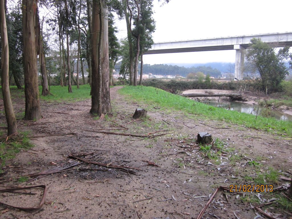 Senda en el río Tamuxe (T.M. de O Rosal): Antes de las obras