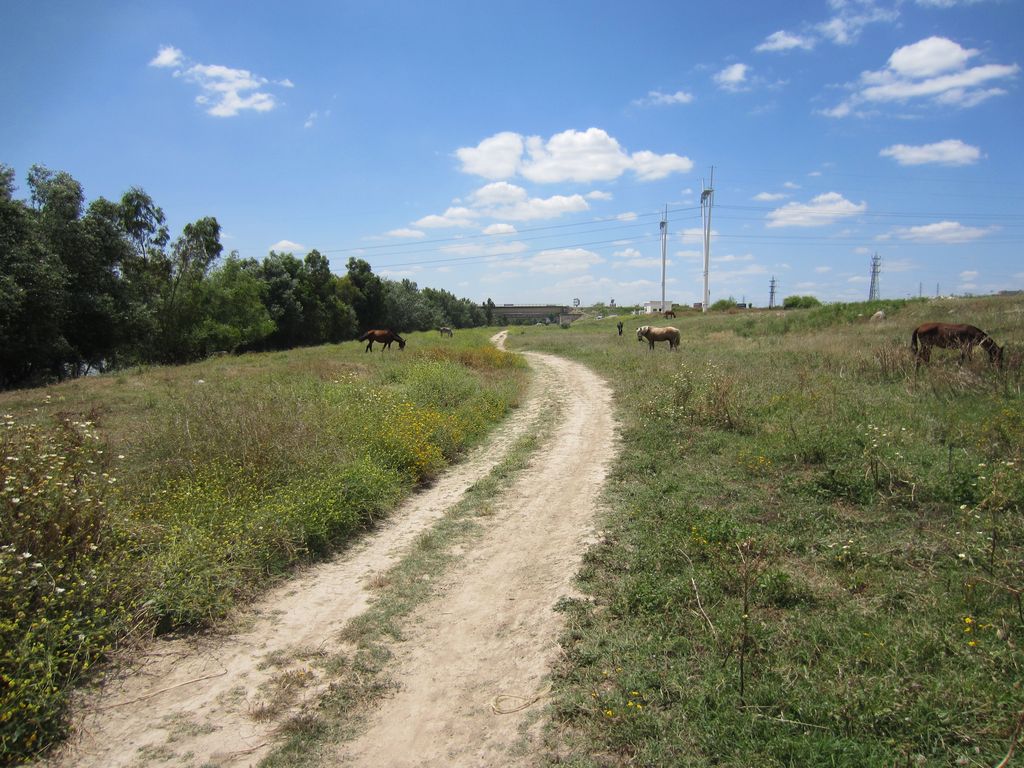 Antes de las obras (Mantenimiento de Sendero de la Corta de La Cartuja Margen Derecha (TT.MM. Sevilla, Camas y Santiponce))