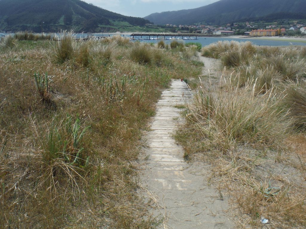 Playa de Cariño. Reparación de pasarelas de madera, colocación de empalizada  y redistribución de arena (Antes de las obras)