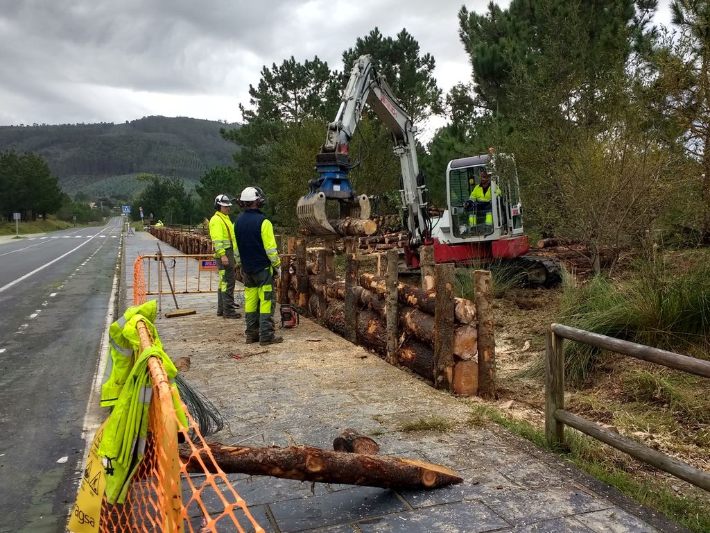 Ferrol. Construcción cierre vegetal en Esmelle (Durante las obras)