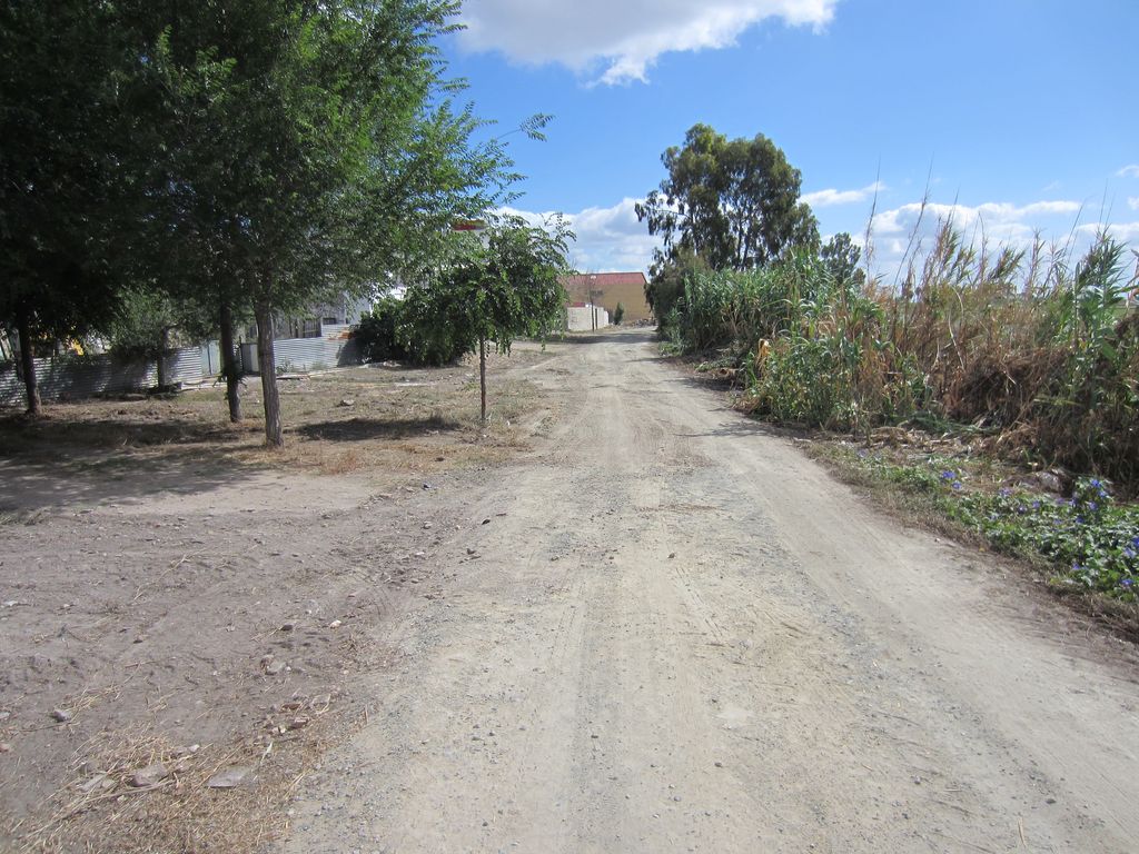 Después de las obras (Desbroce y retirada de residuos en Isla Mayor (T.M. Isla Mayor))