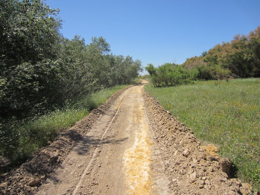 Durante de las obras (Mantenimiento de Sendero de la Corta de La Cartuja Margen Derecha (TT.MM. Sevilla, Camas y Santiponce))