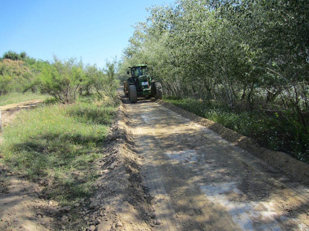 Durante de las obras (Mantenimiento de Sendero de la Corta de La Cartuja Margen Derecha (TT.MM. Sevilla, Camas y Santiponce))