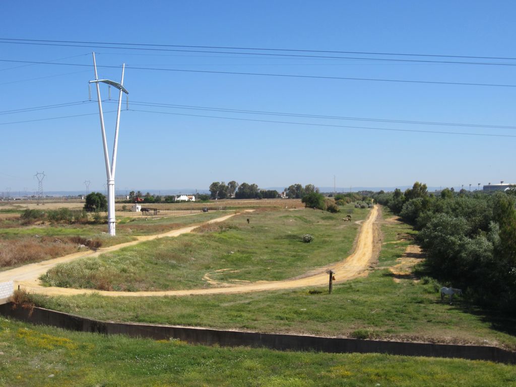 Durante de las obras (Mantenimiento de Sendero de la Corta de La Cartuja Margen Derecha (TT.MM. Sevilla, Camas y Santiponce))