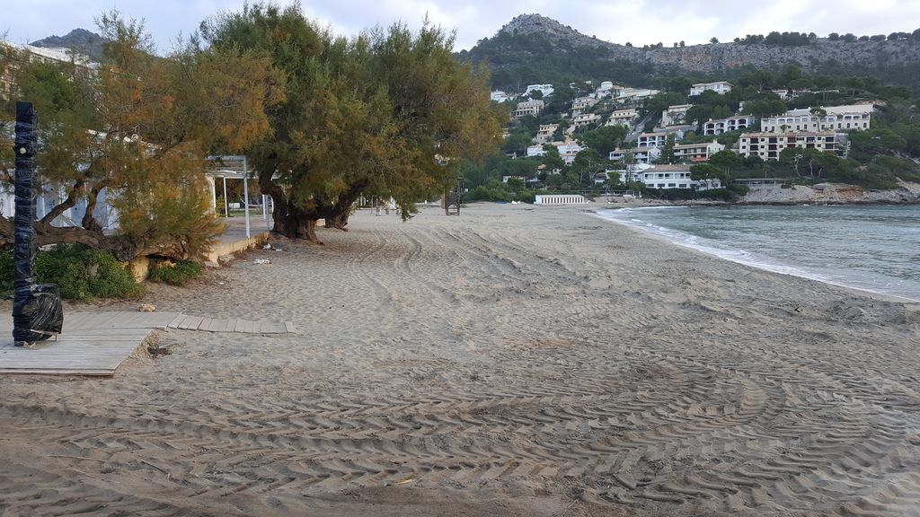 Después de las obras. Limpieza Cañamel