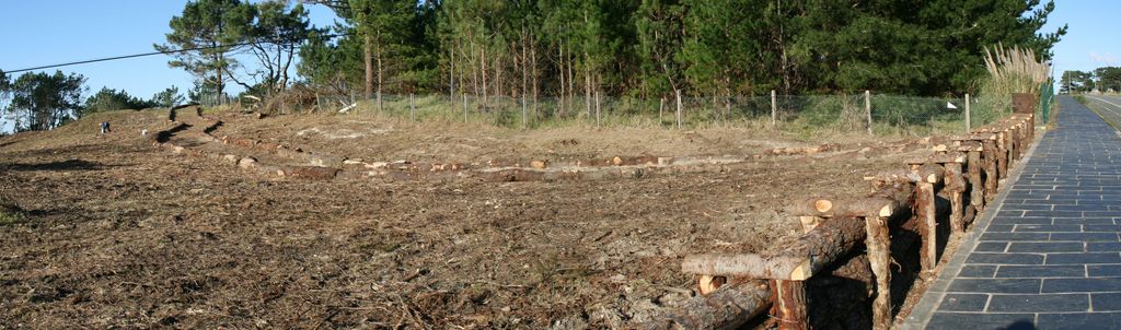 Ferrol. Limpieza, corta y poda preventiva de vegetación, con posterior aprovechamiento en el D.P.M.T (Después de las obras)