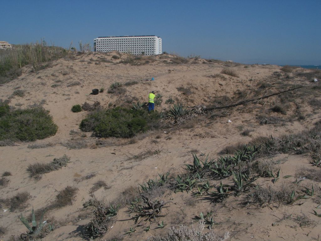 Durante las obras