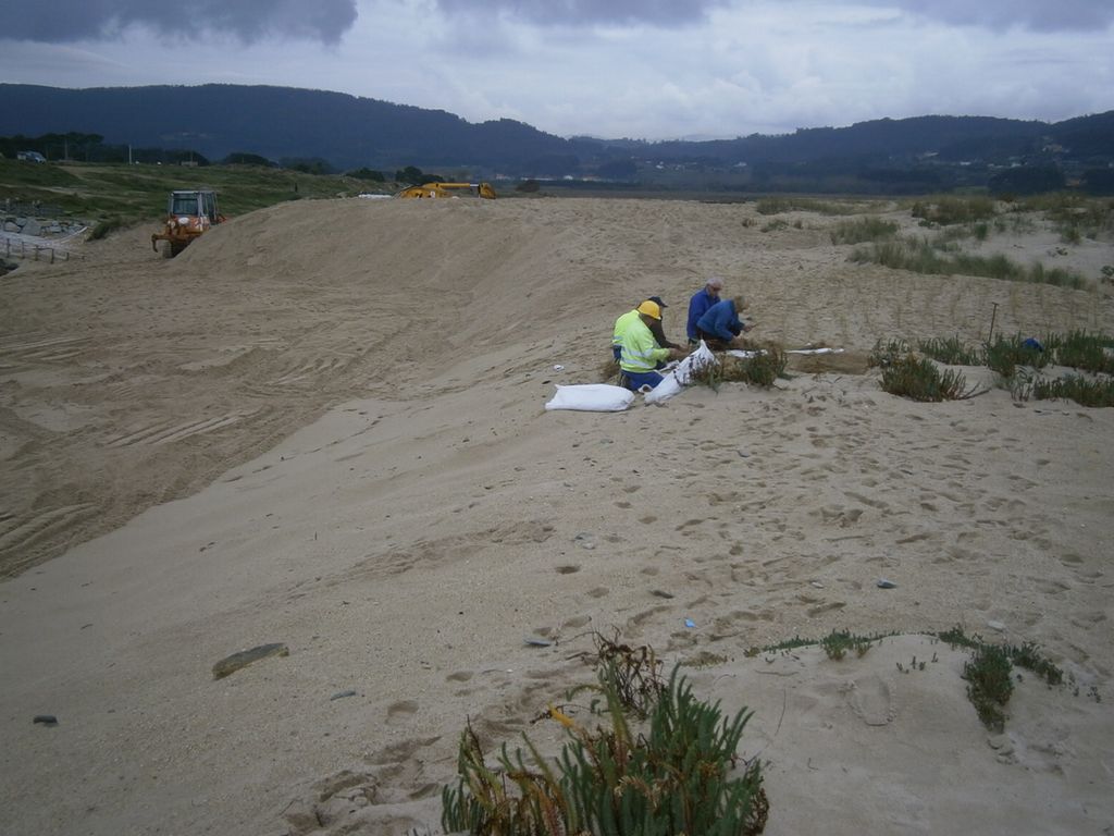 Regeneración dunar en la playa de Razo-Baldaio (T.M.  de Carballo). Durante las obras