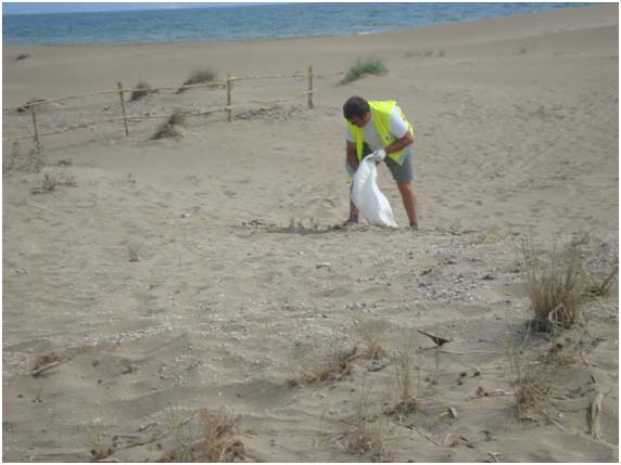 Reposición sistema dunar y pasarelas de acceso en la playa de La Marquesa (T.M. Deltebre. Después de las obras)