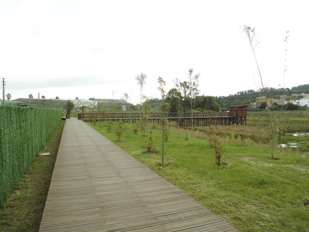 Regeneración ambiental de las marismas de A Xunqueira do Areal, Fase I. Después de las obras